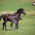 Σπίτι διακοπών Chalet, *