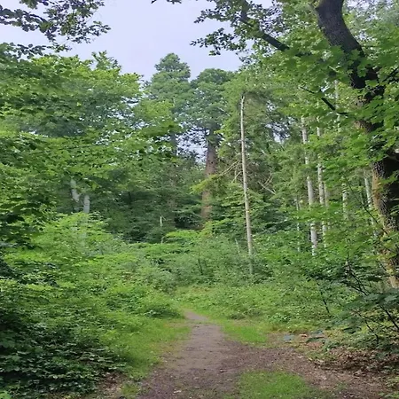 Tatil Evi Chalet, Wendorf (Kuhlen-Wendorf)